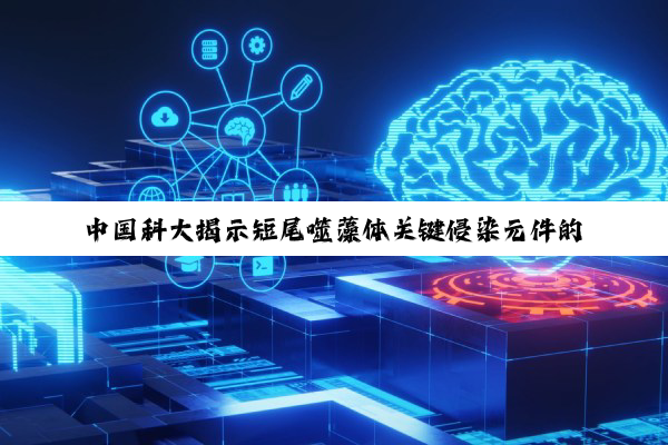 中国科大揭示短尾噬藻体关键侵染元件的原位组装模式