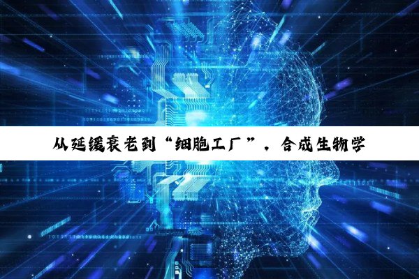 从延缓衰老到“细胞工厂”，合成生物学重构生命密码