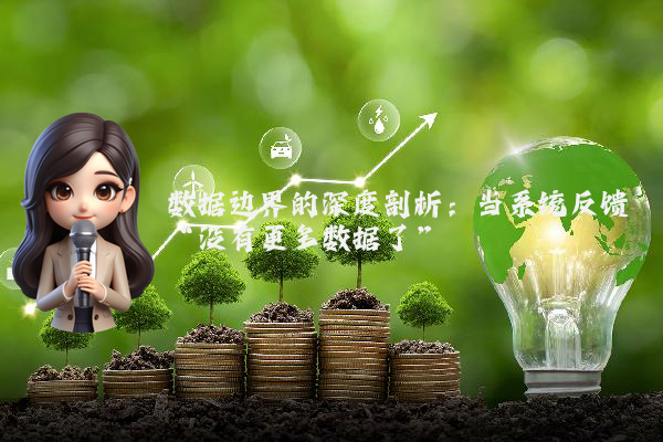 数据边界的深度剖析:当系统反馈“没有更多数据了”
